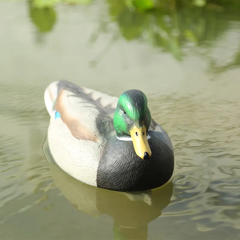 Plastic Duck Decoy Drake