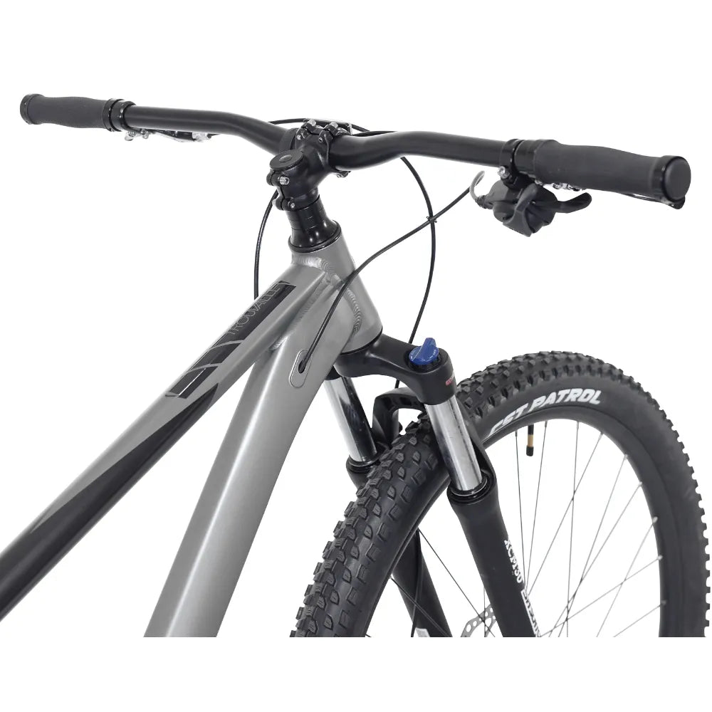 29" Men's Mountain Bike