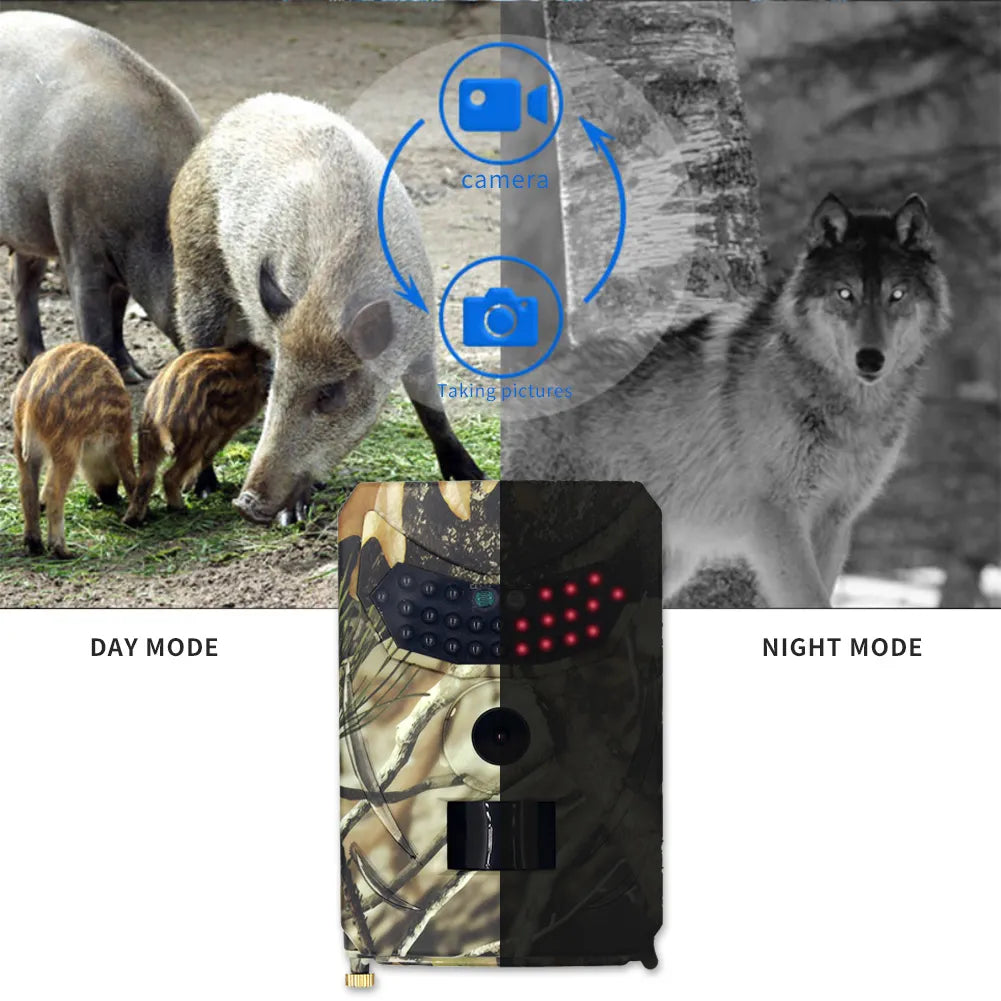 Hunting Trail Camera